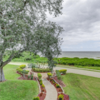 NORTH BAYSHORE CLEANUP