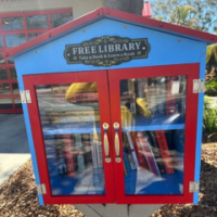 SERVICE LITTLE FREE&nbsp;LIBRARIES