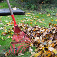 YARD CLEANUPS