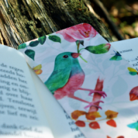 ASSEMBLE BOOKMARKS